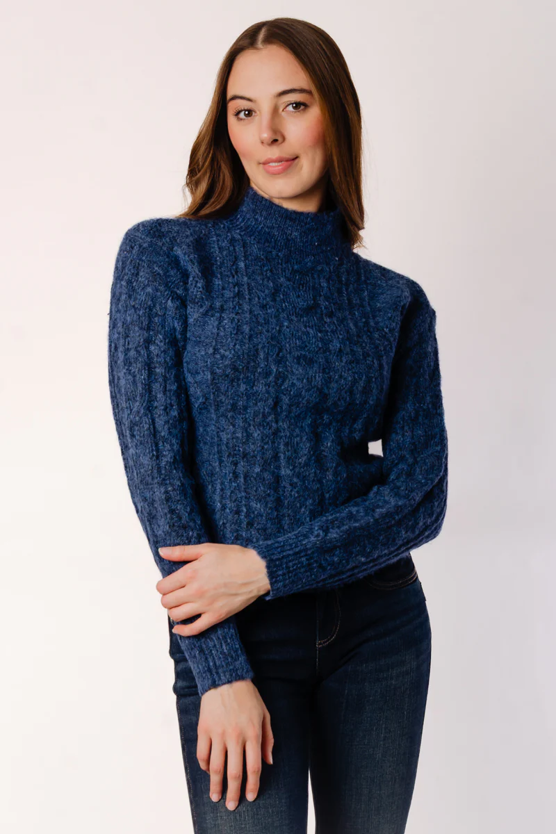Erin Long Sleeve Turtle Neck Sweater