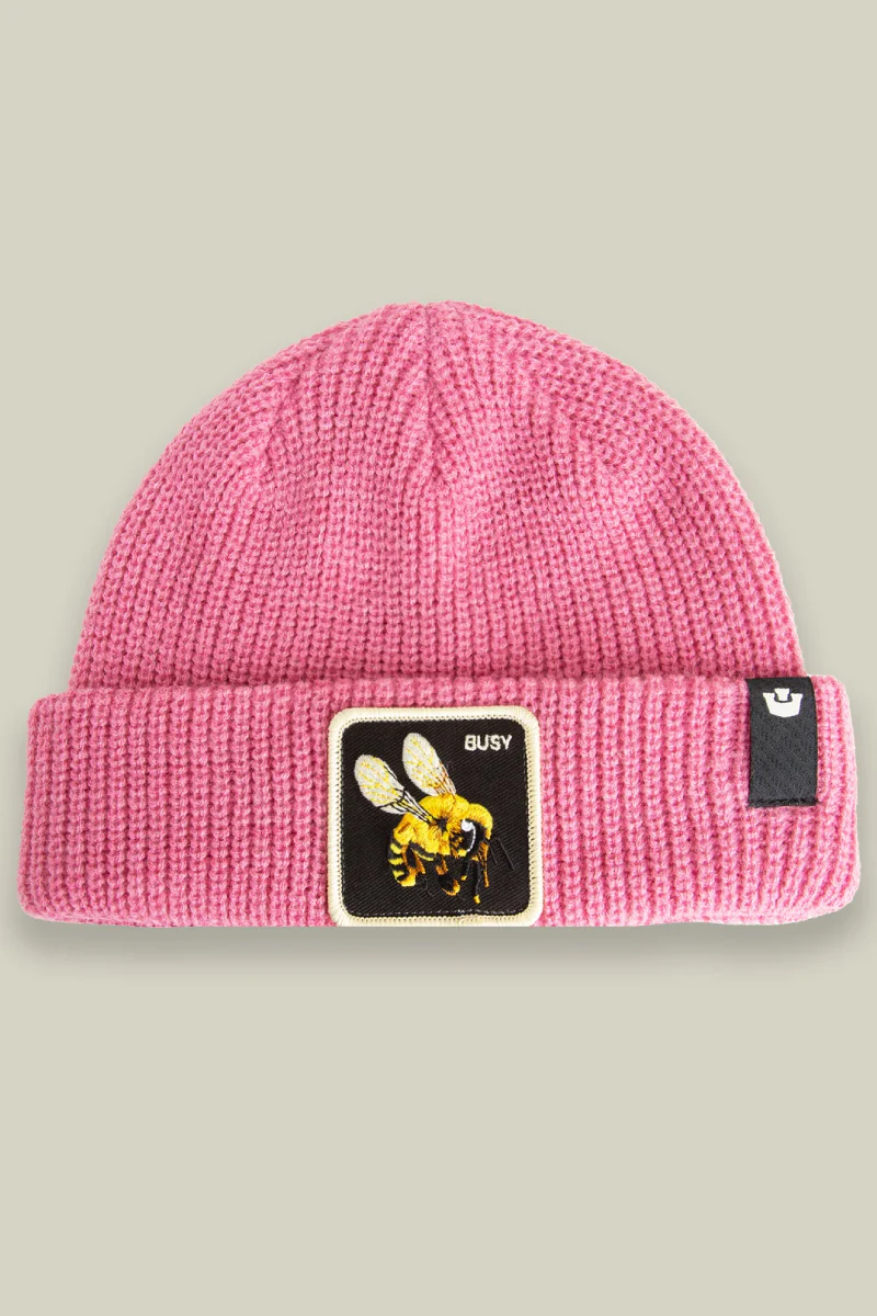 The Busy Beanie