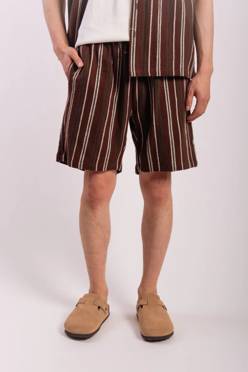 Textured Stripe Shorts