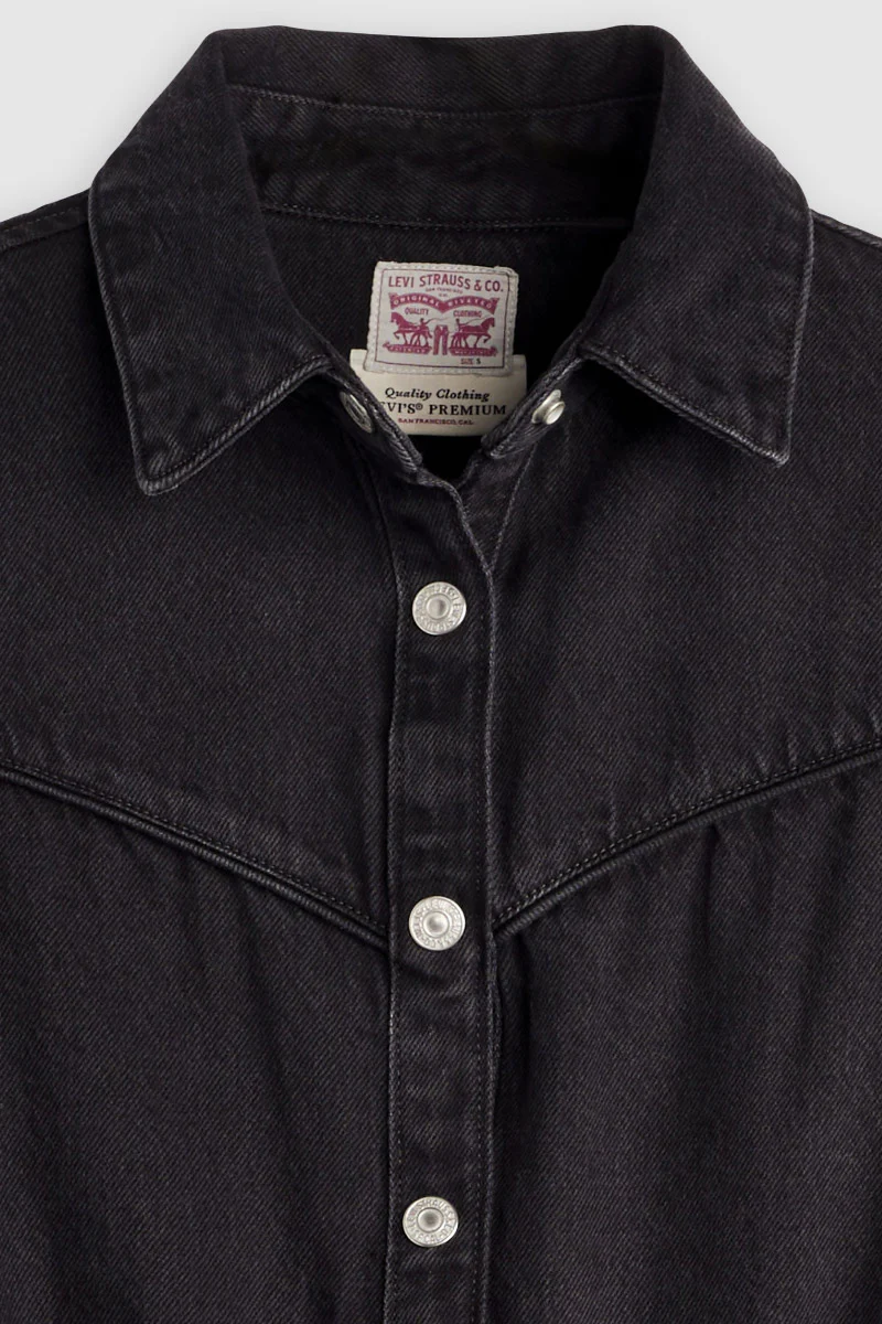 Logan Western Dress - Image 3